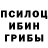 Псилоцибиновые грибы мицелий Zodtchy Perm