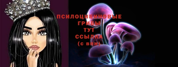 а пвп мука Аркадак