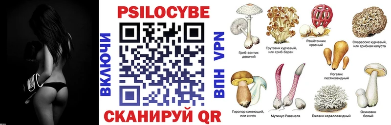 мега рабочий сайт  Сурск  shop как зайти  Галлюциногенные грибы Cubensis 